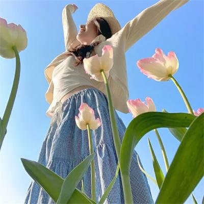 牛奶树下